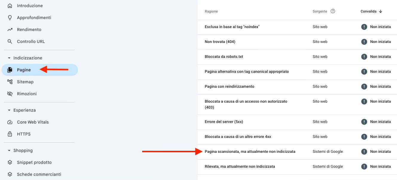 screenshot sezione Pagine Search Console